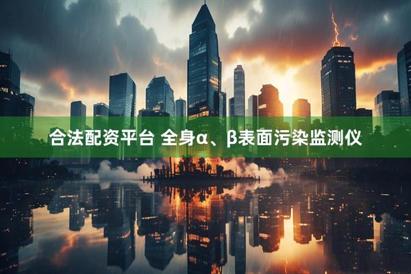 合法配资平台 全身α、β表面污染监测仪