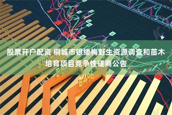 股票开户配资 桐城市银缕梅野生资源调查和苗木培育项目竞争性磋商公告