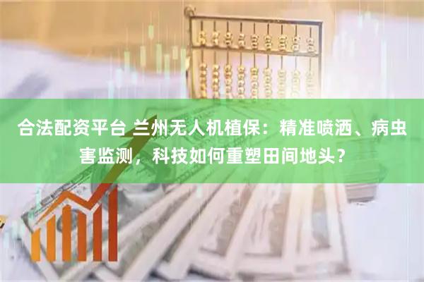 合法配资平台 兰州无人机植保：精准喷洒、病虫害监测，科技如何重塑田间地头？